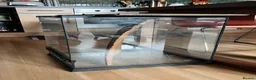 Gecko reptiles for sale: Zoomed 45x45x60cm Terrarium/Reptile Enclosure in Huntingdon - Advert 5