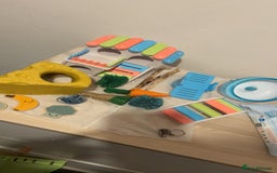 Hamster rodents for sale: 2 male gerbils - Image 3