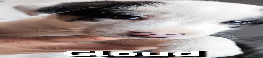Cloud
