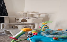 Bengal cats for sale: Tica snow bengal - Image 3