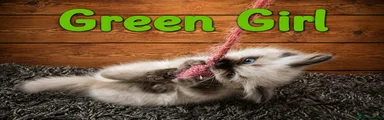 Ragdoll 2