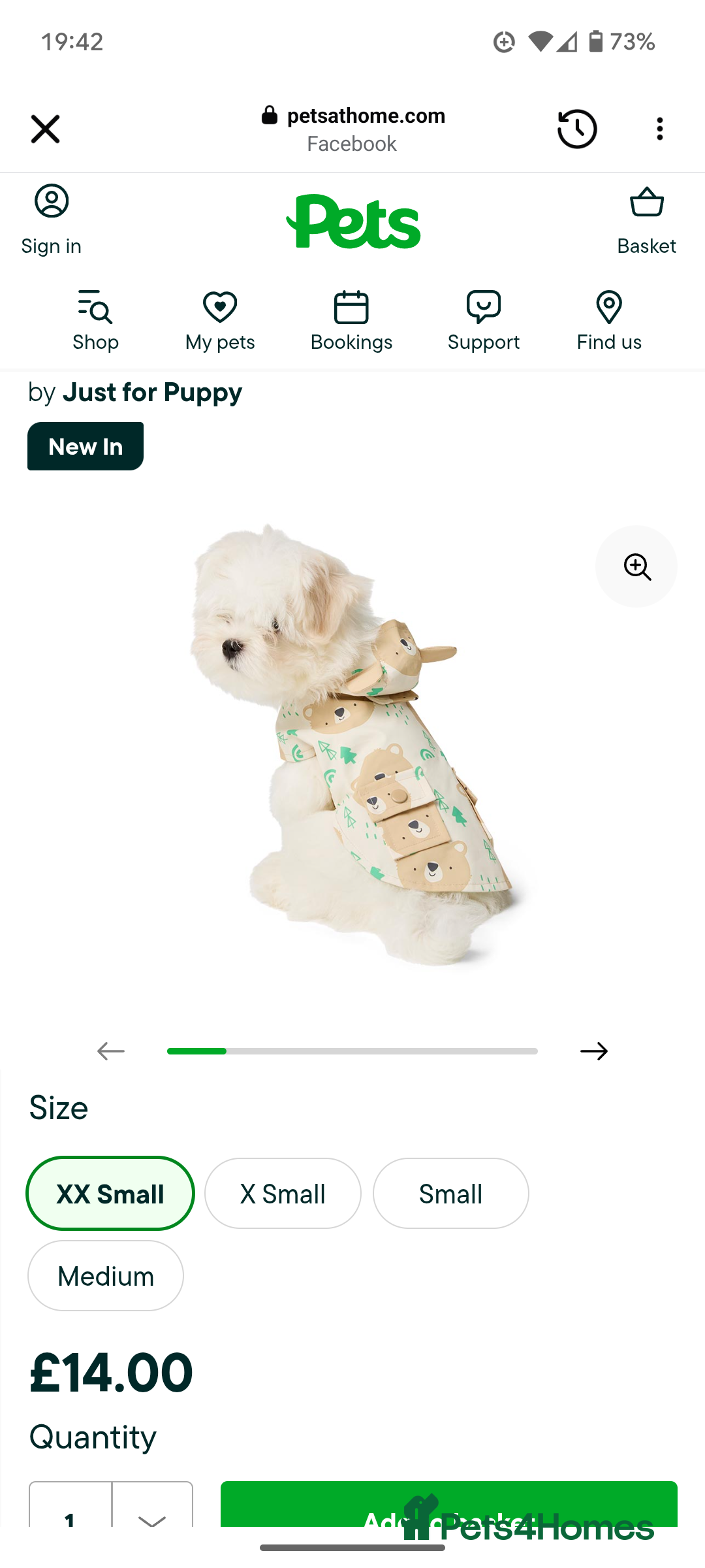 Maltese dogs for sale: Gorgeous KC pedigree Maltese puppy reduced price - Image 25