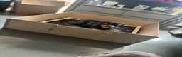 Rottweiler dogs for sale: ELITE KC REGISTERED, GERMAN ROTTWEILER PUPPIES  in Cullompton - Advert 3