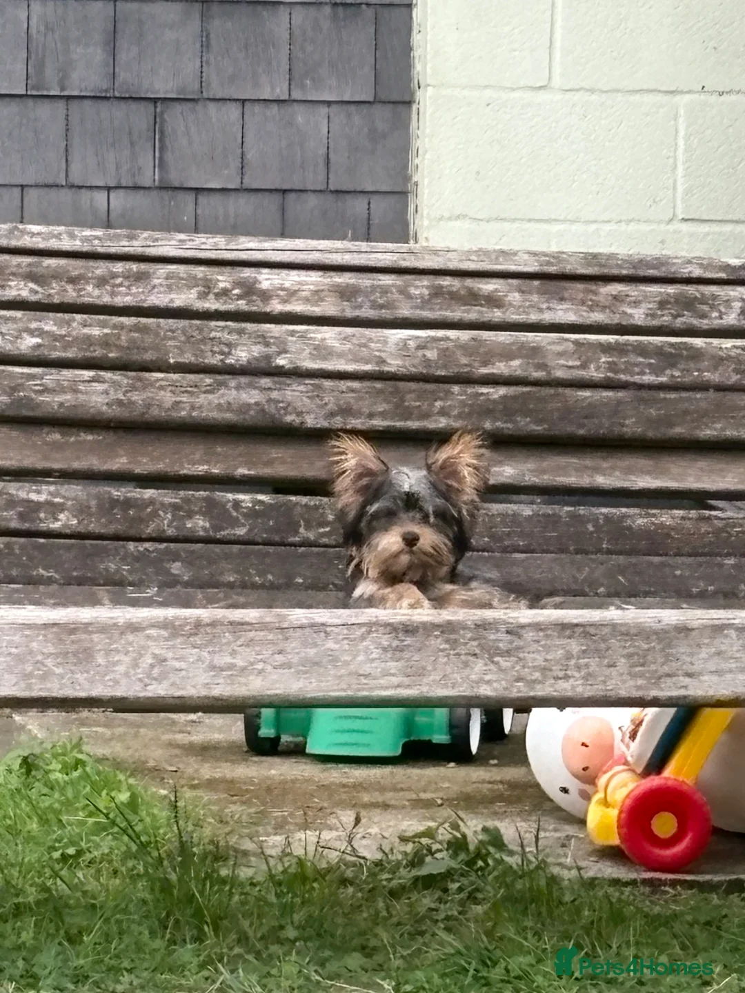 Gallery Image {{count}}