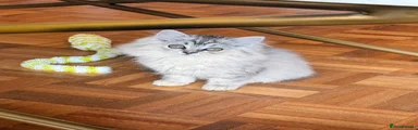 Fluffy