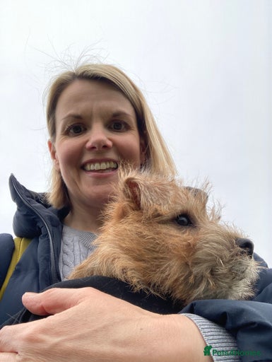 Gallery Image {{count}}