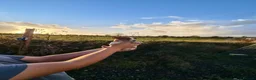 Jack Russell dogs for sale: Old fashion type Miniature jack russell puppies - Advert 38