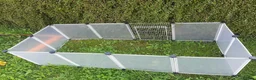 Dwarf Lop rabbits for sale: Rabbit 🐇  - Advert 5