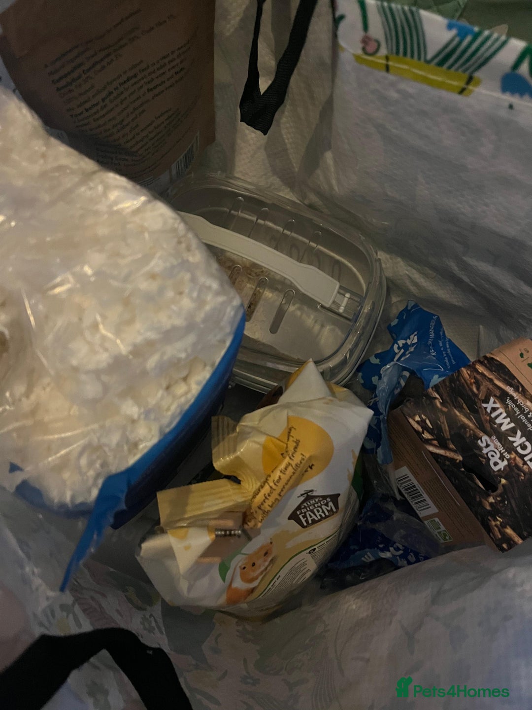 Hamster rodents for sale: Male syrian hamster 3 months  - Advert 3