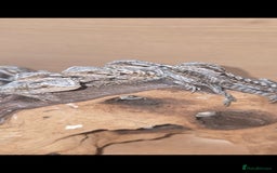 Bearded Dragon reptiles for sale: Baby bearded  - Image 4