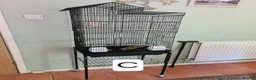 Budgerigars birds for sale: Bird Cages - Advert 6