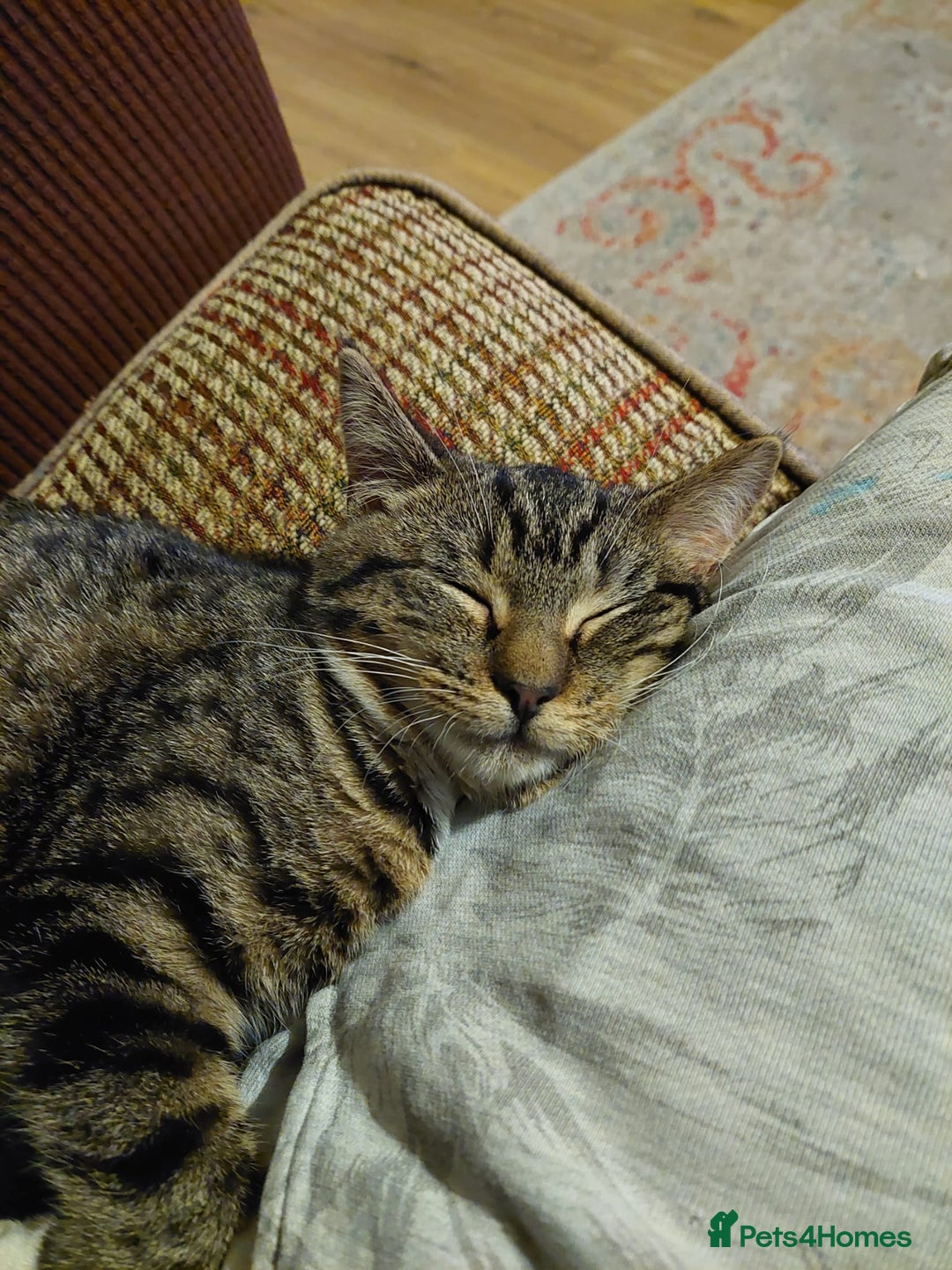 Gallery Image {{count}}