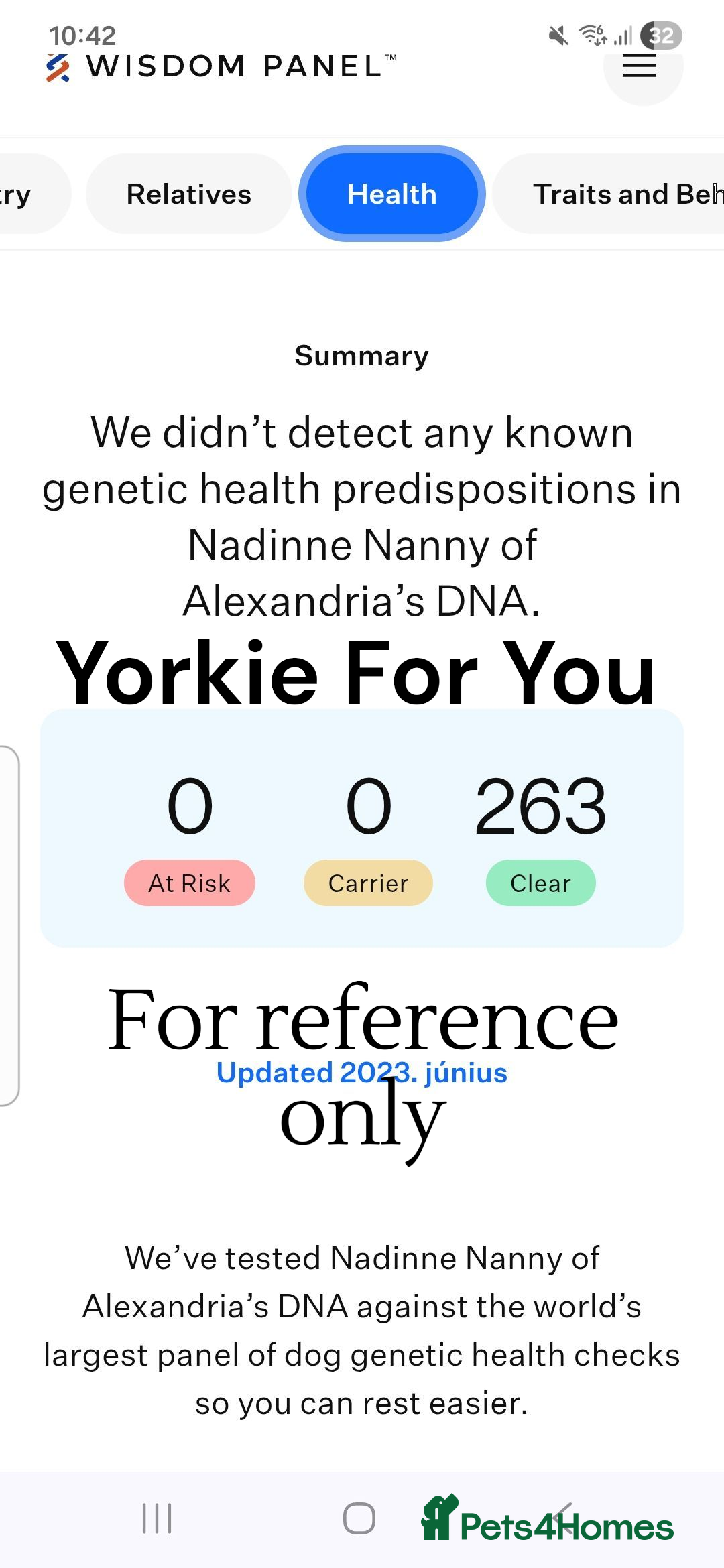 Yorkshire Terrier dogs for sale: 🧡 DNA tested parents 🧡 Dark Red Sable female - Image 6