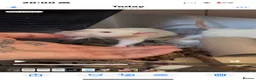 Rat rodents for sale: Two Friendly Male Rats Looking for a Loving Home  in Queenborough - Advert 7