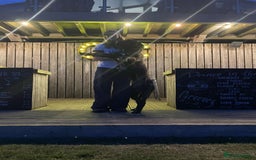 Cane Corso dogs for sale: Clay cane corso - Image 4