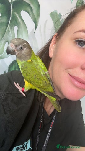 Gallery Image {{count}}