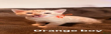 Orange boy