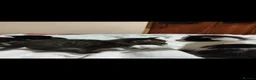 Mixed Breed cats for sale: Lovely Kittens  - Advert 15