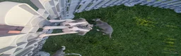 Whippet dogs for sale: Beautiful 12 week old pup seeking forever home - Advert 1