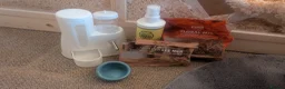 Hamster rodents for sale: Full Hamster Setup + Syrian Hamster Included - Advert 9