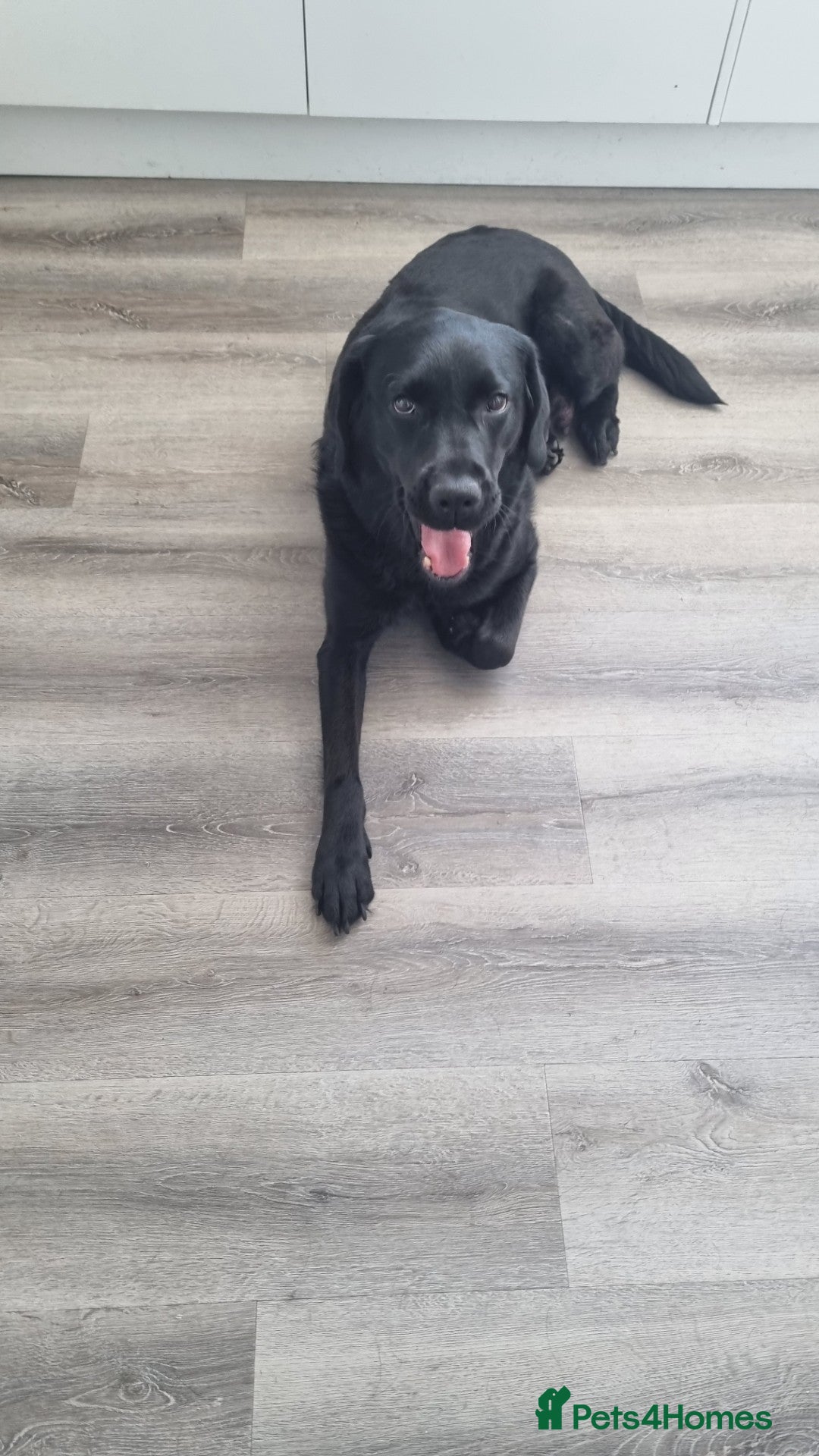 Ruby