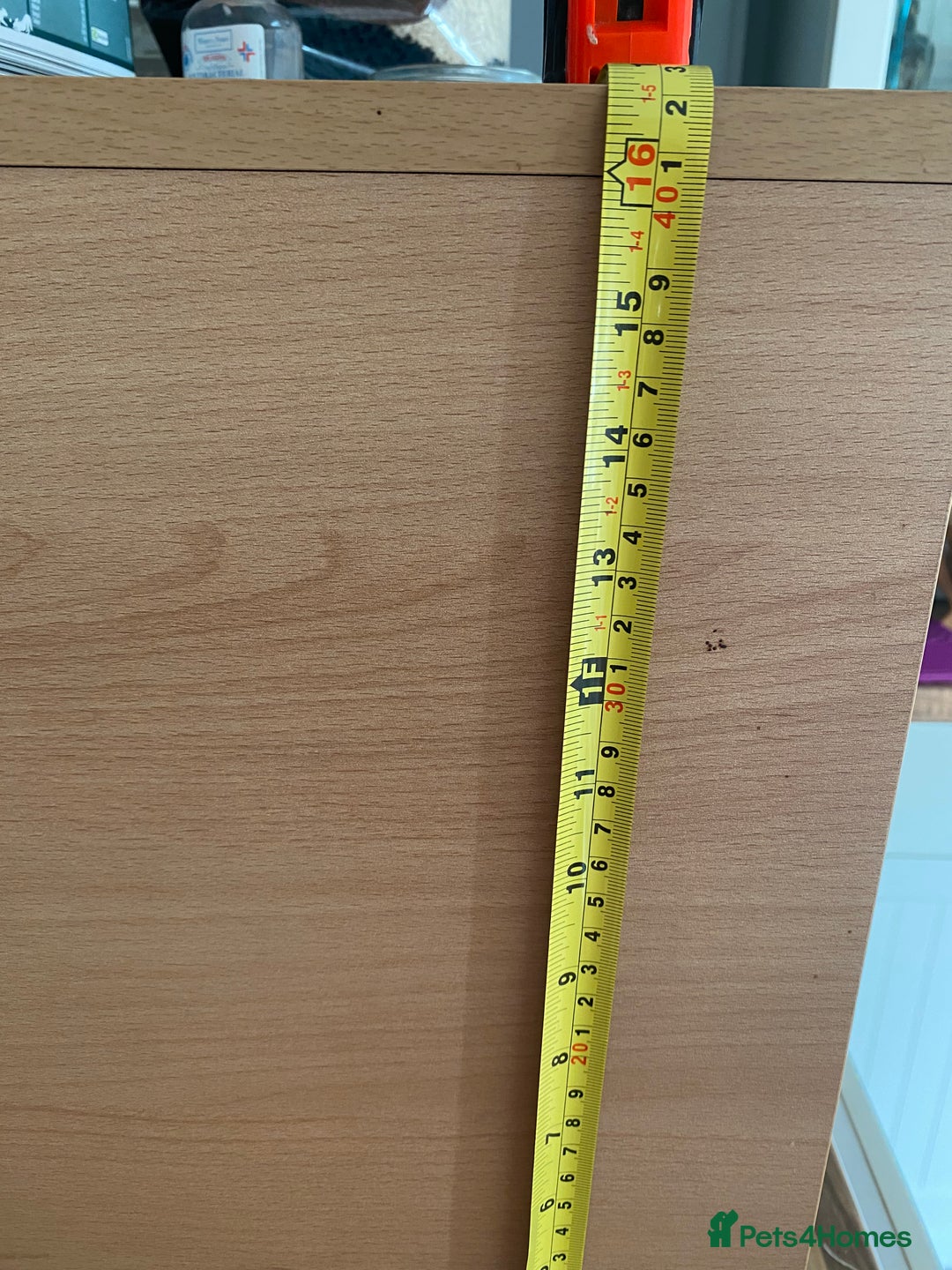 Corn Snake reptiles for sale: 10 years old comes with full set up - Advert 10