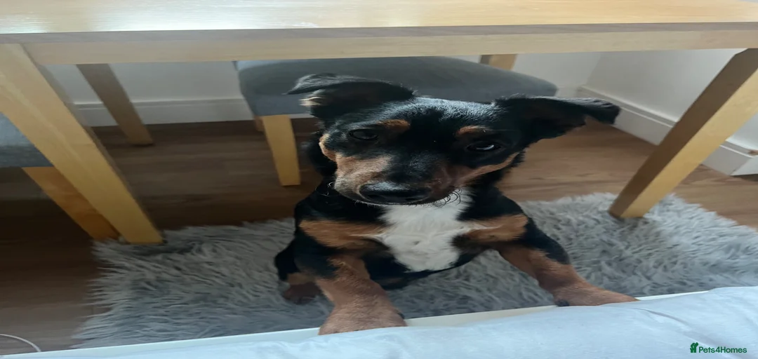 Gallery Image {{count}}