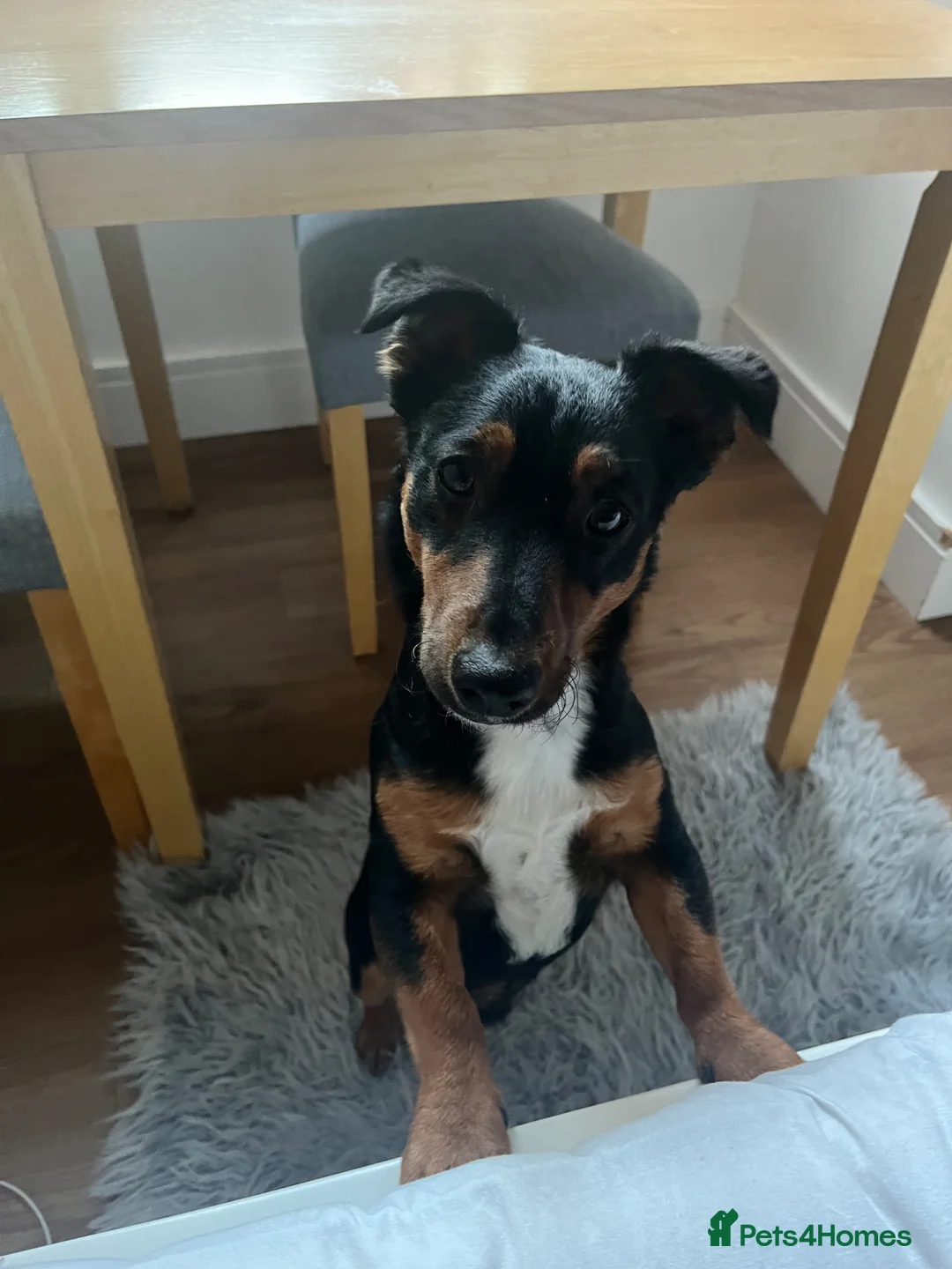 Gallery Image {{count}}