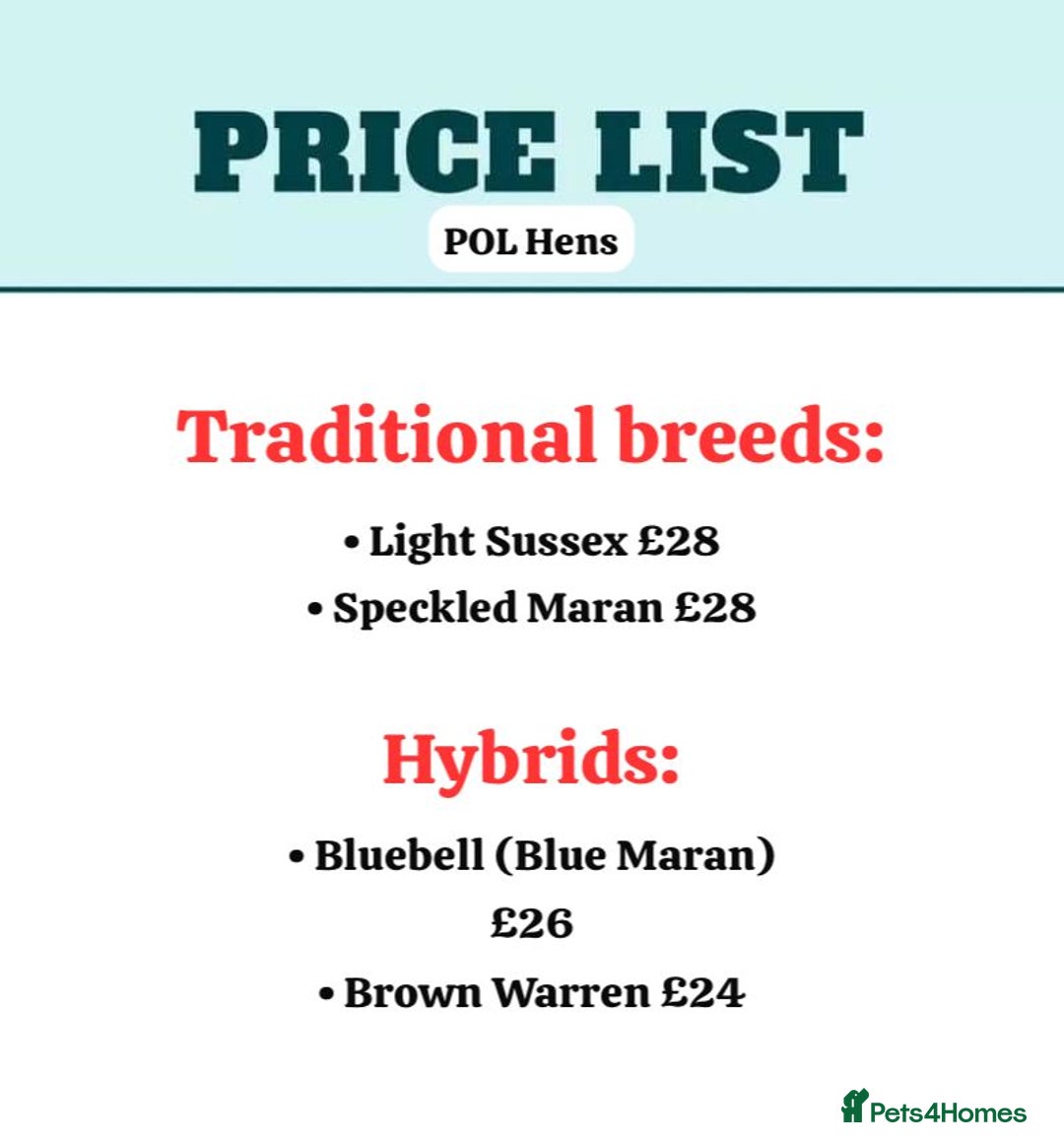 Chickens poultry for sale: *RESERVE* POL Hens + Day old chicks! - Advert 1