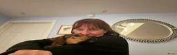 Mixed Breed dogs for adoption: Busy Tizzy – 5 Months of Fun, Love & Mischief! in Kidderminster - Advert 8