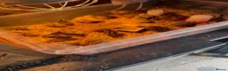 Quail poultry for sale: Jumbo Coturnix Japanese Quails  - Advert 2