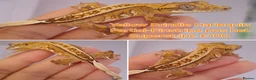 Gecko reptiles for sale: Juvinile Crested Geckos various morphs  - Advert 4