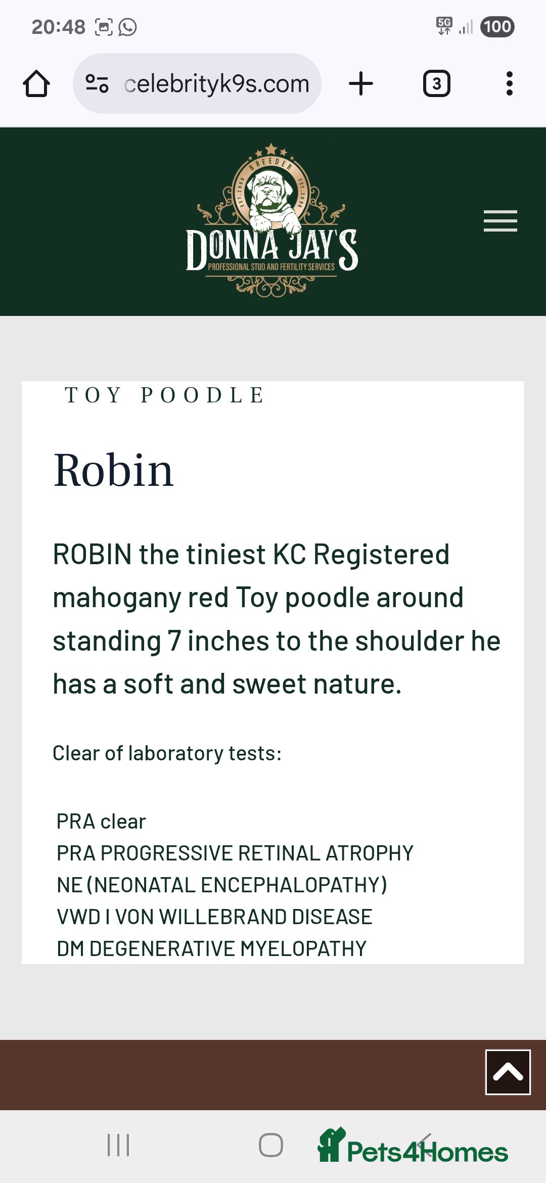 Cavapoo dogs for sale: F1bb extensively health tested caverpoo pups  - Advert 6