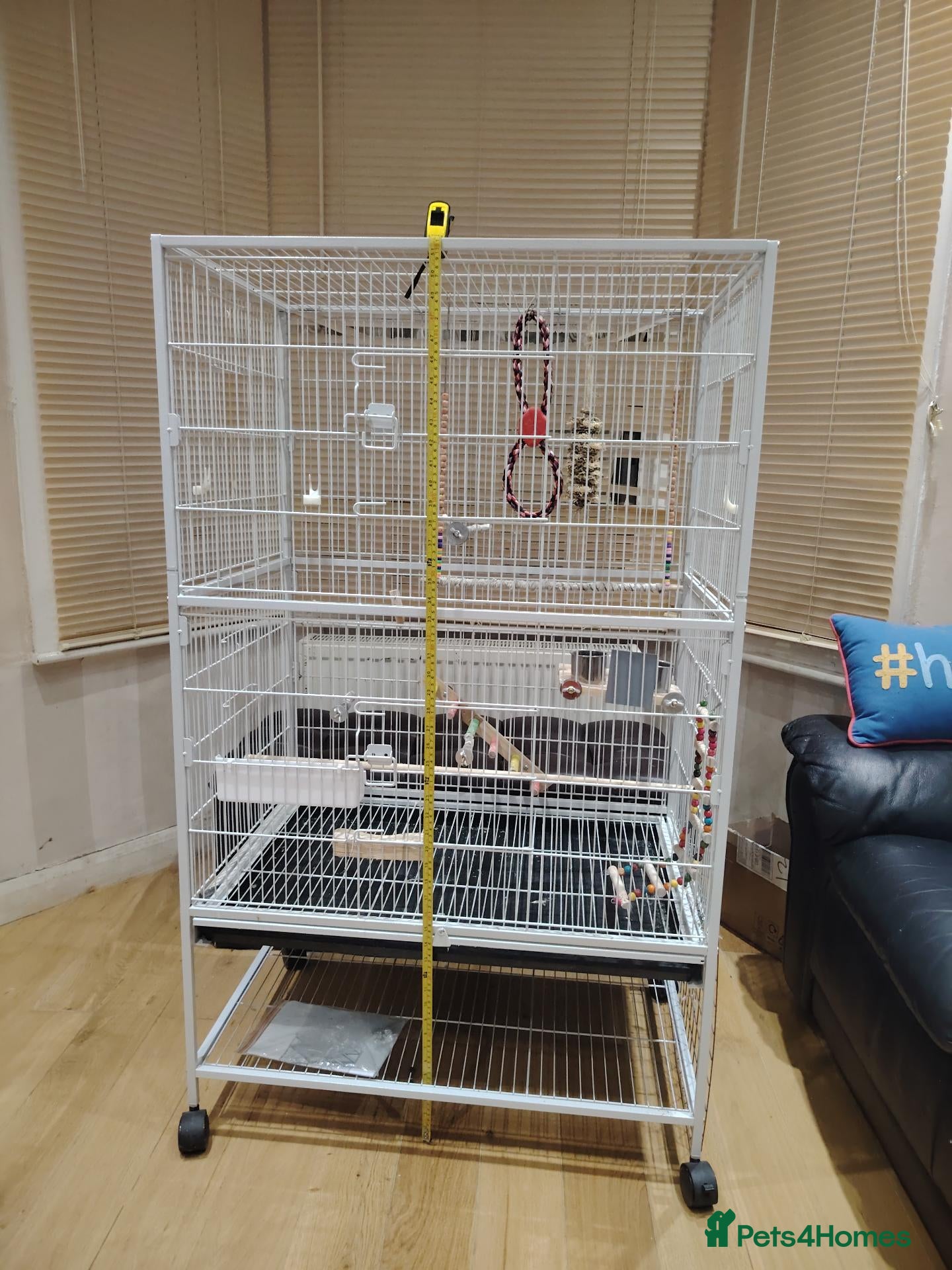 Cockatiels birds Large Cage for cockatiels or Other birds – £60 - Advert 13