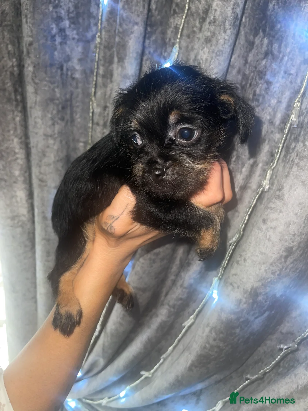 Gallery Image {{count}}