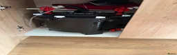 Fancy Goldfish fish for sale: Fluval Roma 240 complete fancy goldfish aquarium  - Advert 12