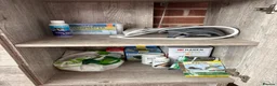 Loaches fish for sale: Whole fish tank setup for sale  - Advert 6