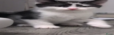 Bounty 