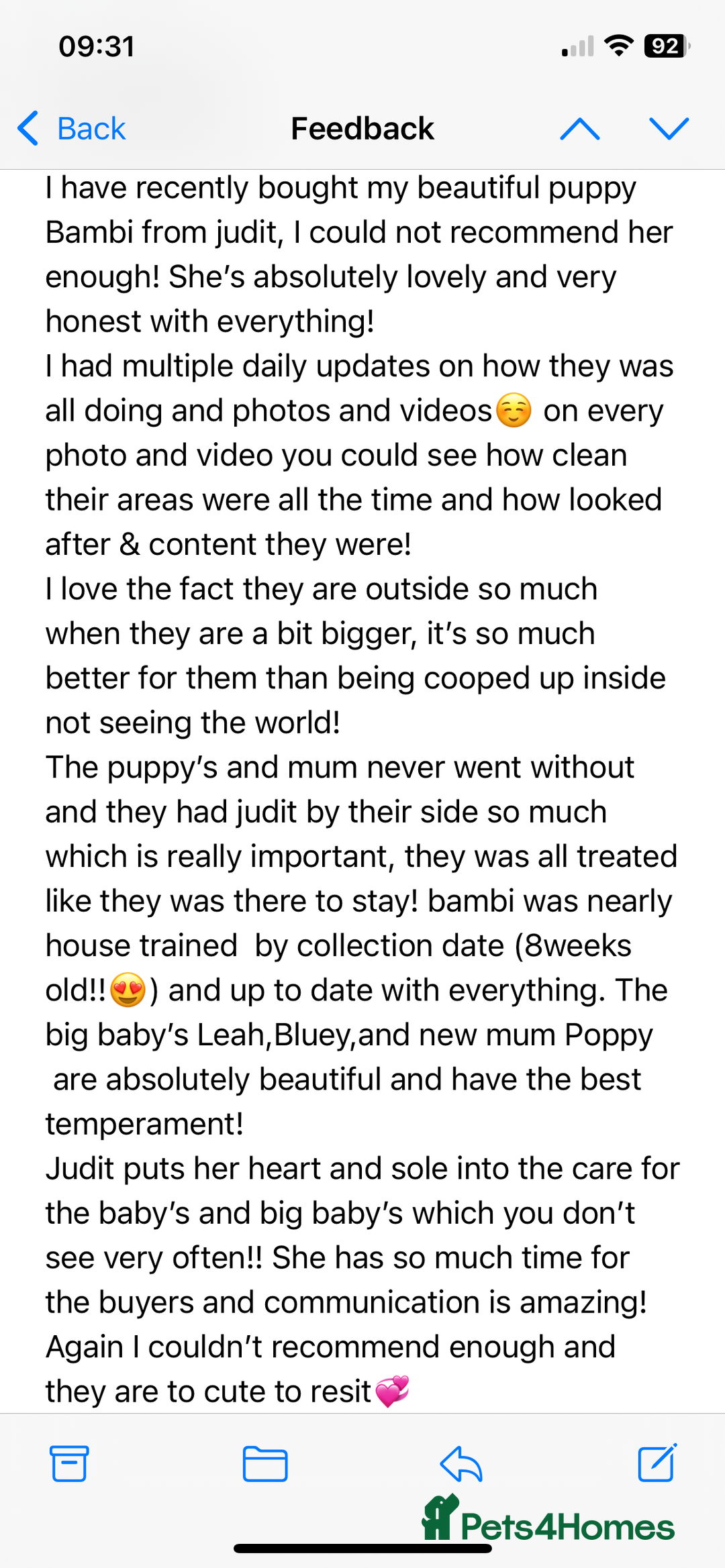 Boxer dogs for sale: Bunch of Boxer Babies - Image 31