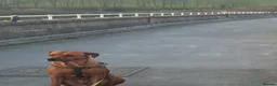Rhodesian Ridgeback dogs for sale: 🦁RHODESIAN RIDGEBACKS PUPPIES🦁  - Advert 6