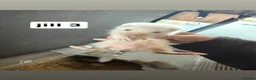 Ferret rodents for sale: ferret kits for sale - Advert 3