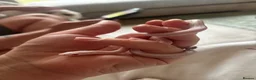 Corn Snake reptiles for sale: Male avalanche Tessera corn snake  in Milton Keynes - Advert 3