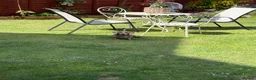 Miniature Dachshund dogs for sale: Kc miniature dashound in Bilston - Advert 2