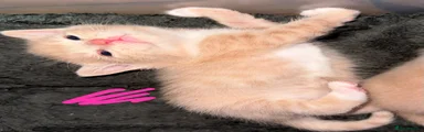 Pink collar 