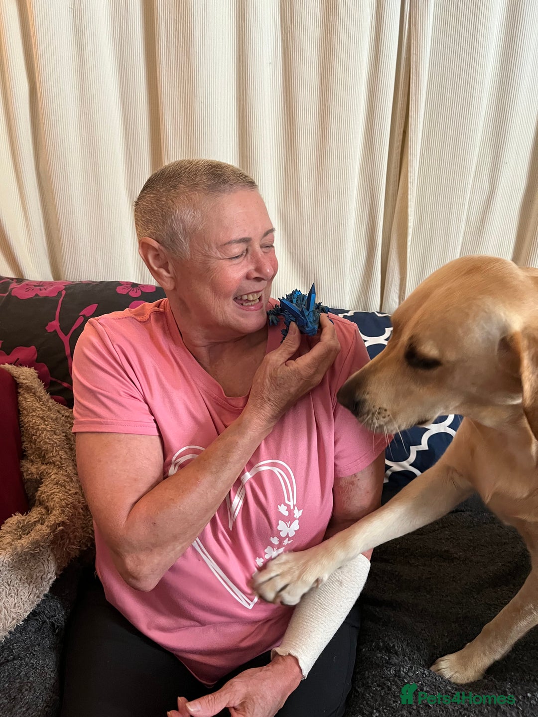 Gallery Image {{count}}