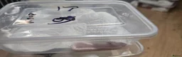 Corn Snake reptiles for sale: Hypo palmetto corn snakes  - Advert 1