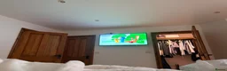 Ragdoll cats for sale: Pedigree Dora the Explorer  - Advert 3