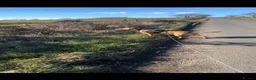 Labrador Retriever dogs for sale: Labrador puppies from a 5 Star License Breeder  - Advert 10
