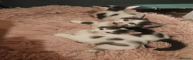 Mixed Breed 1