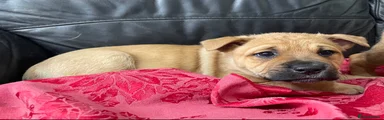 Winnie